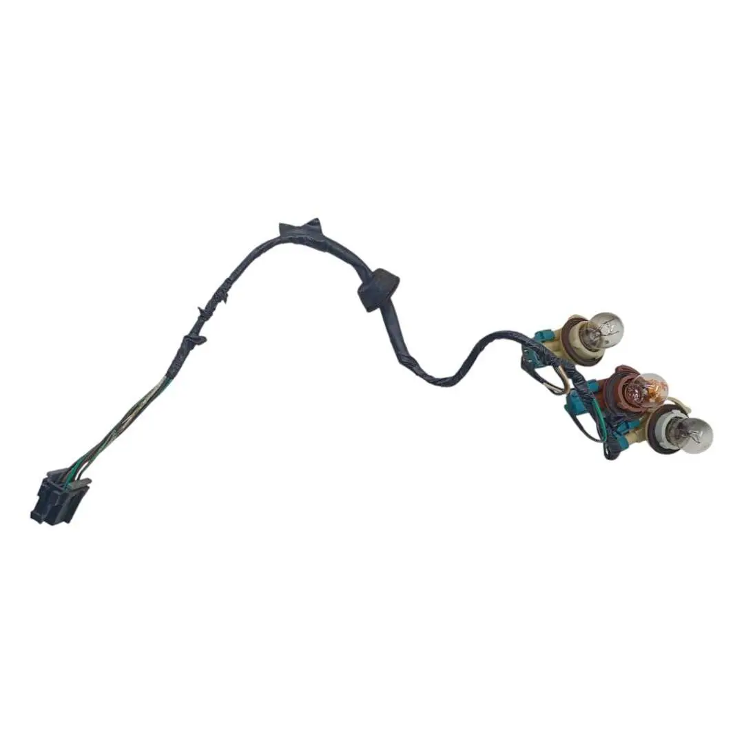 Soquete Luz Lanterna Traseira Direita Chevrolet Blazer 2003